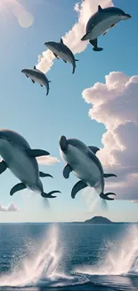 Flying dolphins under a sunlit sky.