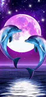 Two dolphins under a full moon in a purple night sky wallpaper.