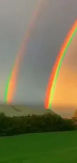 Stunning double rainbow over lush green field at sunset.