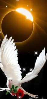 White dove with rose beneath solar eclipse.