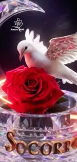 White dove perched on red rose within crystal vase.