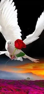 Dove carrying a red rose with sunset and landscape background.