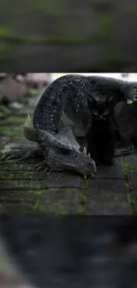 Dragon resting with a black kitten on a mystical brick path.