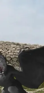 Black dragon flying near a stone wall