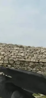 Dragon perched by ancient stone wall in mystical landscape.