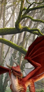 Fierce red dragon surrounded by an enchanting forest.