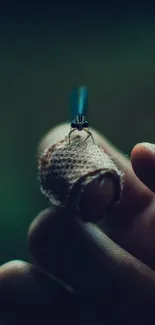 Close-up of a dragonfly resting on a finger against a green background.