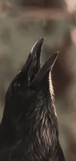 Close-up of a black raven with open beak, set against a dark background.