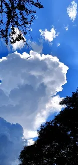 Dramatic cloudy sky with blue background and tree silhouette.