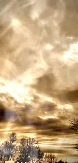 Dramatic cloudy sunset with silhouetted trees.