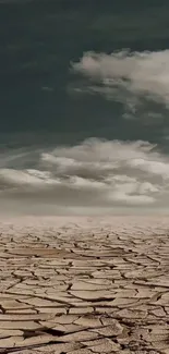 Desert landscape with cracked earth and dramatic cloudy sky.