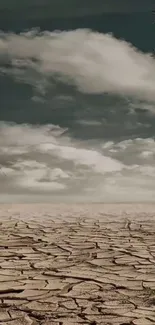 Dramatic desert storm with cracked earth and cloudy sky.