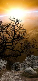 Silhouette of a tree against a golden Earth sunrise with rocky foreground.