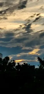 Dramatic sunset with silhouetted trees and cloudy sky.