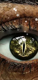 Close-up of a fantasy-themed eye with snowflakes.