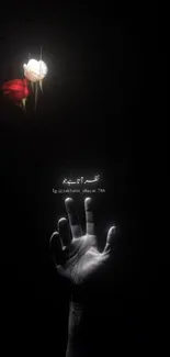 A hand reaching towards roses in a dark background.