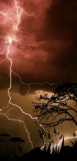 Dramatic lightning strikes illuminate a dark, stormy sky over silhouetted trees.