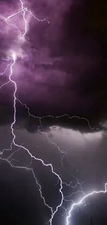 Vivid lightning bolts illuminate a dark purple stormy sky.