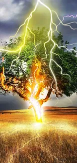 A tree struck by lightning amidst dramatic skies and fields.