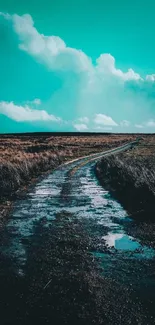 Teal sky and dirt path create a serene mobile wallpaper.