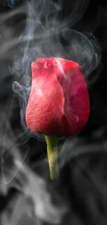 Single red rose with smoke on dark background.