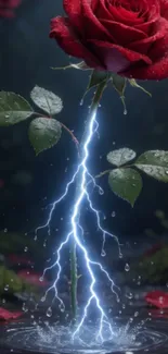 Red rose struck by lightning in a dark, atmospheric setting.