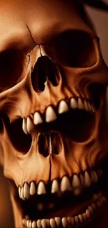 Realistic skull art wallpaper with rich brown hues.