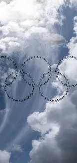 Birds form circles in cloud-filled sky.