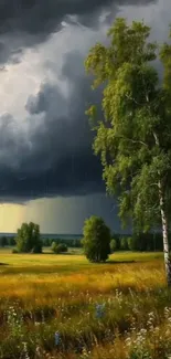 Stormy landscape with trees and fields under dramatic skies.