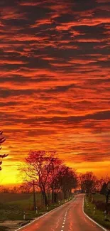 Vibrant sunset over an open road with dramatic clouds.