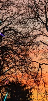 Silhouette of trees against an orange sunset sky, with rooflines visible.