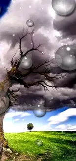 Dramatic tree with surreal bubbles in a vibrant sky landscape wallpaper.