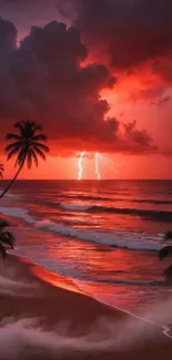 Dramatic sunset beach with lightning and palm trees.