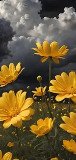 Vibrant yellow flowers under dramatic cloudy skies mobile wallpaper.