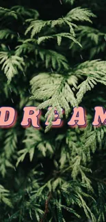 Dream text over lush green foliage background.