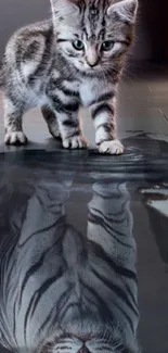 Kitten with a tiger reflection in a puddle, inspiring mobile wallpaper.