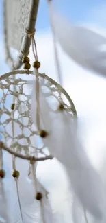 Bohemian dreamcatcher with white feathers and sky-blue background.