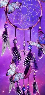 Purple dreamcatcher wallpaper with feathers and butterflies.