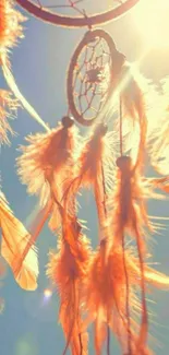 Dreamcatcher with sunlit feathers in a bohemian style.