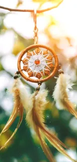 Sunlit dreamcatcher hanging in a green forest, featuring feathers and soft light.