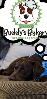 Sleeping dog dreaming of Buddy's Bakery organic treats.