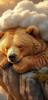 A bear peacefully sleeping on a cliff covered by clouds.
