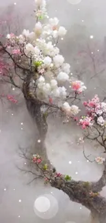 Dreamy wallpaper of a blossom tree with pink and white flowers in the mist.