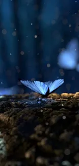 Blue butterflies resting in a serene, softly lit scene.