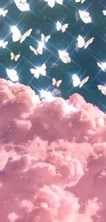 Pink clouds with butterflies in night sky.