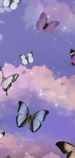 Lavender sky with butterflies and clouds wallpaper.