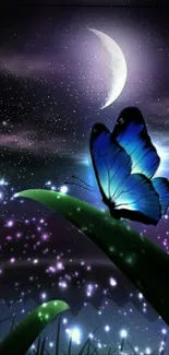 A blue butterfly sits on a leaf under a starry night sky with a crescent moon.