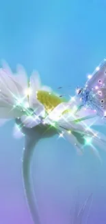 Sparkling butterfly on white flower with dreamy blue background.