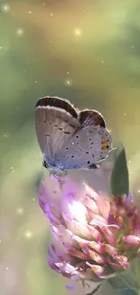 A delicate butterfly rests on a thistle against a soft green background.