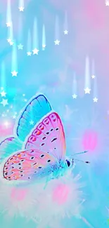 Dreamy pastel butterfly with stars on light blue background.